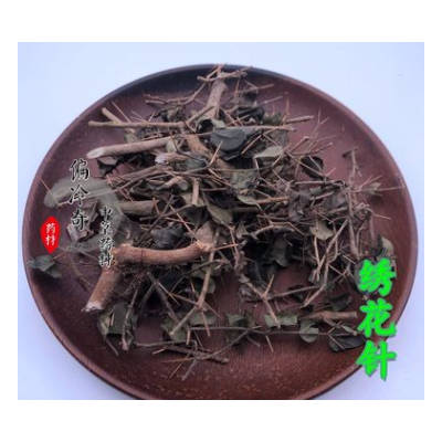 偏冷奇中草药材 别名：绣花针 刺虎 寿星草 寿庭木 雀不踏图1
