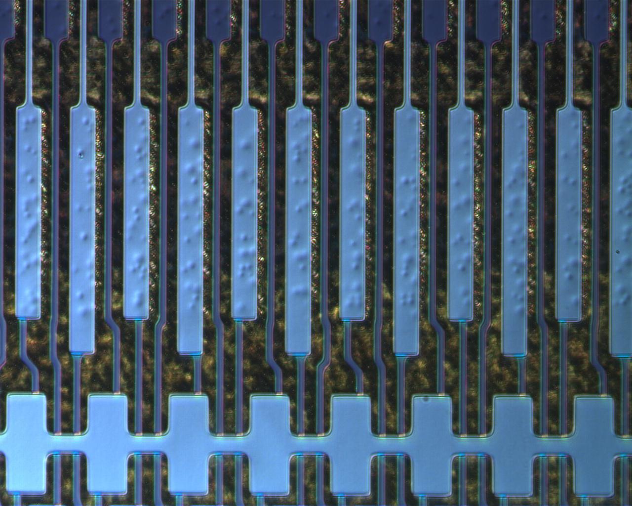 终版_19.gif