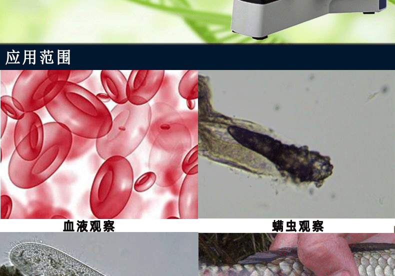 终版_02.gif