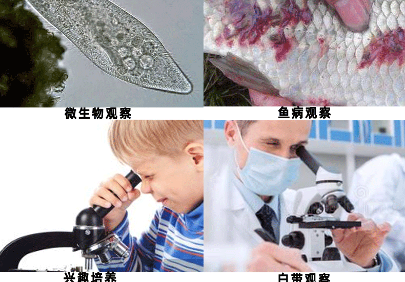 终版_03.gif