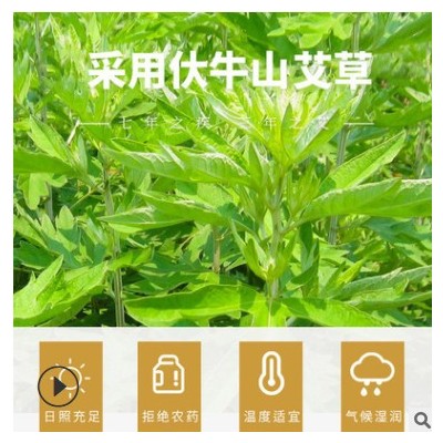 妙仲堂艾草泡脚500g艾叶包陈年艾草洗澡足浴干艾叶批发加工艾草叶图2
